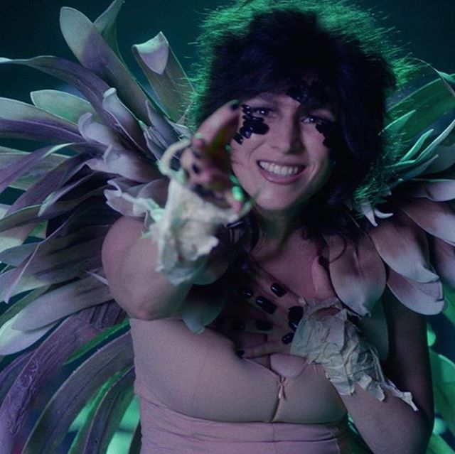 Thanks to @Theguardian and @DoubleJ for premiering our new video and song &lsquo;Wild Seeds&rsquo;. And thank you to the wonderful @Yael Stone for starring in the video. Premiere links in bio ✨